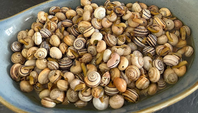 Vai uma caracolada? 5 spots irresistíveis (e baratos) em Lisboa e no Porto para se lambuzar com este petisco