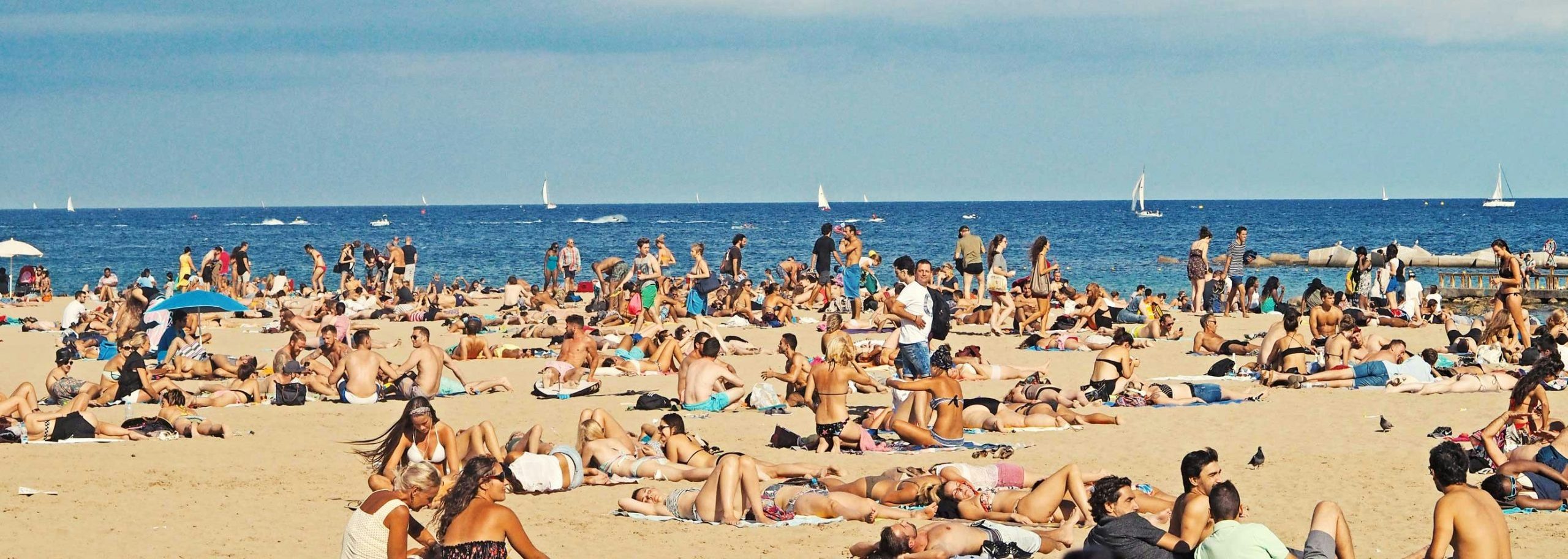 Nova onda de calor chega a Portugal. Temperaturas podem atingir os 42ºC já na próxima semana