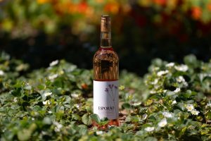 Há um novo rosé do Esporão para brindar ao verão. É biológico e custa menos de 10€