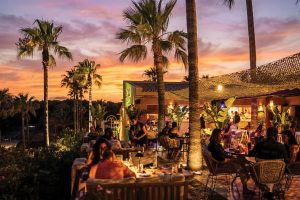 Sushi, steakhouse e DJ ao vivo. O Le Club Algarve tem tudo o que precisa para se divertir nas noites de verão