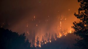 11 mortos e 19 desaparecidos em incêndio devastador em Espanha. Vítimas foram encontradas em carros carbonizados