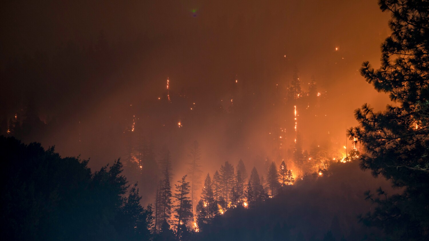 11 mortos e 19 desaparecidos em incêndio devastador em Espanha. Vítimas foram encontradas em carros carbonizados