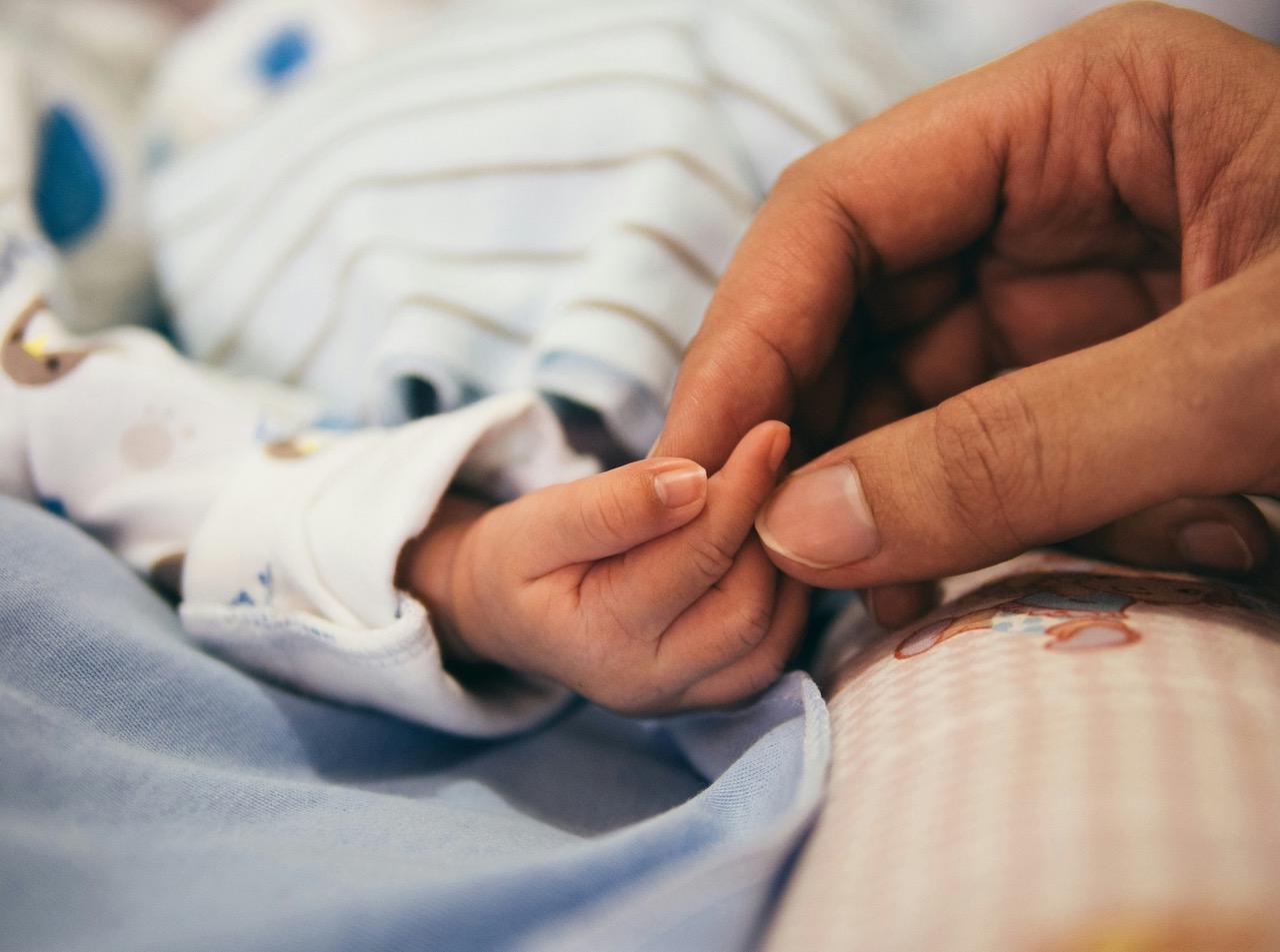 Fertilidade em Portugal. O que mudou, o que continua por resolver e o que falta fazer? Falámos com uma especialista