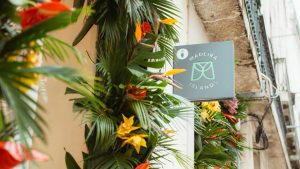 O Posto de Turismo da Madeira em Lisboa já revelou o seu calendário de eventos para 2026 – e há experiências para todos os gostos