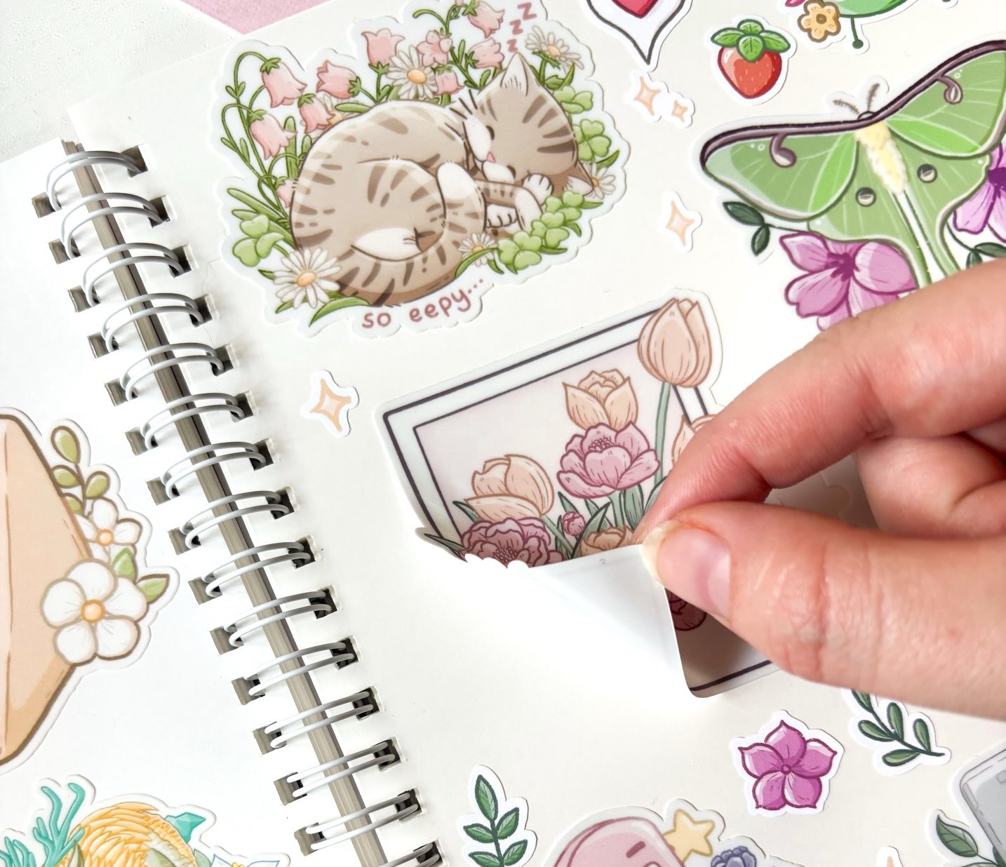 Os livros de stickers são o novo vício do TikTok e já chegaram a Portugal. Saiba onde pode encontrá-los