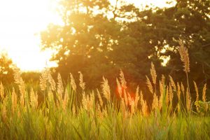 O verão não acabou. Setembro começa com sol e temperaturas a rondar os 30ºC
