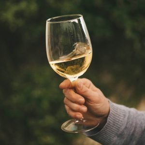 Estes três novos brancos do Douro são perfeitos para saborear no verão e um deles custa menos de 10€