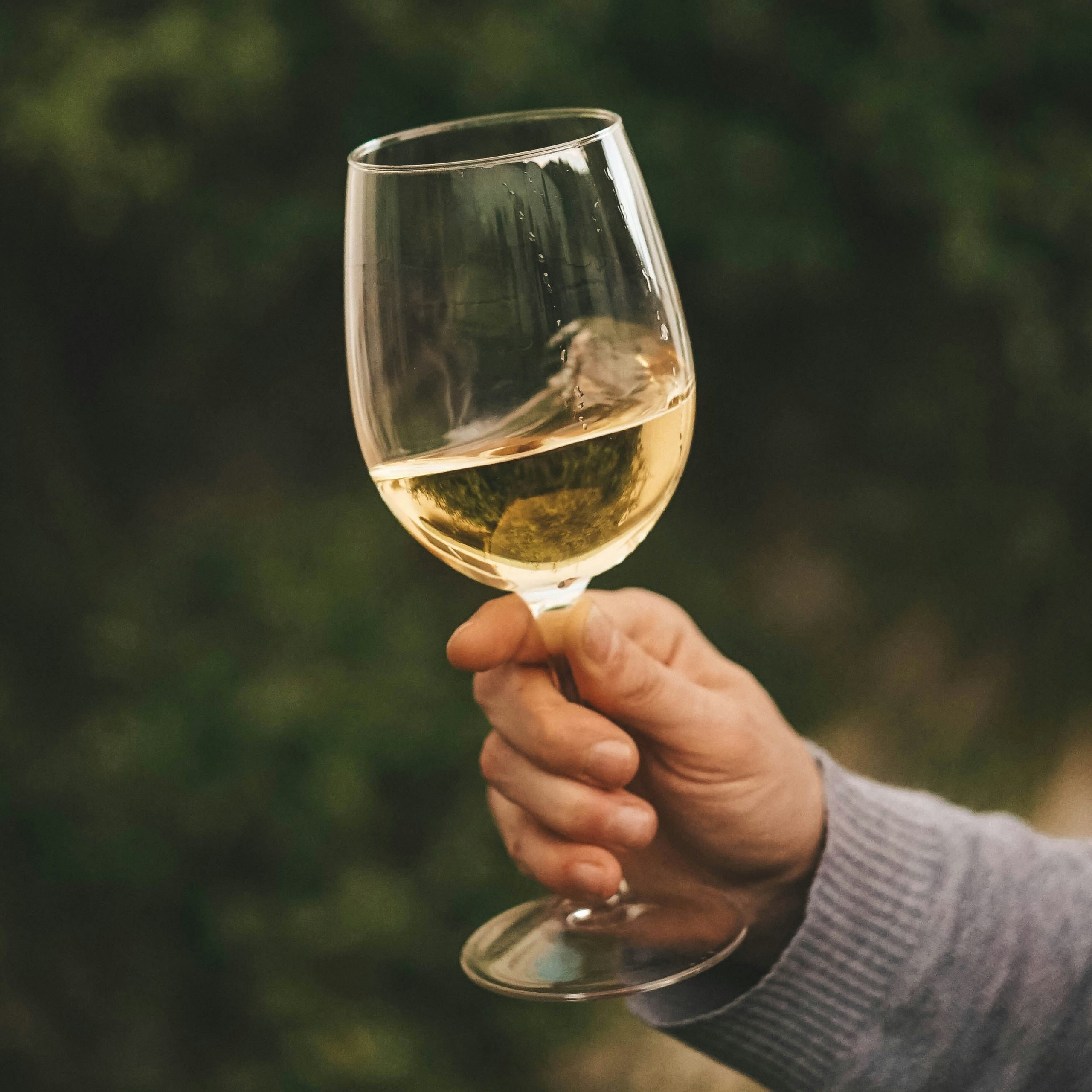 Estes três novos brancos do Douro são perfeitos para saborear no verão e um deles custa menos de 10€