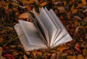 O plano perfeito para os dias frios? Uma manta e um destes 17 livros que acabam de chegar às livrarias