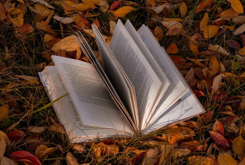 O plano perfeito para os dias frios? Uma manta e um destes 17 livros que acabam de chegar às livrarias