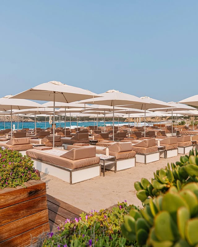 Blue Marlin (Ibiza) Blue Marlin (Ibiza)