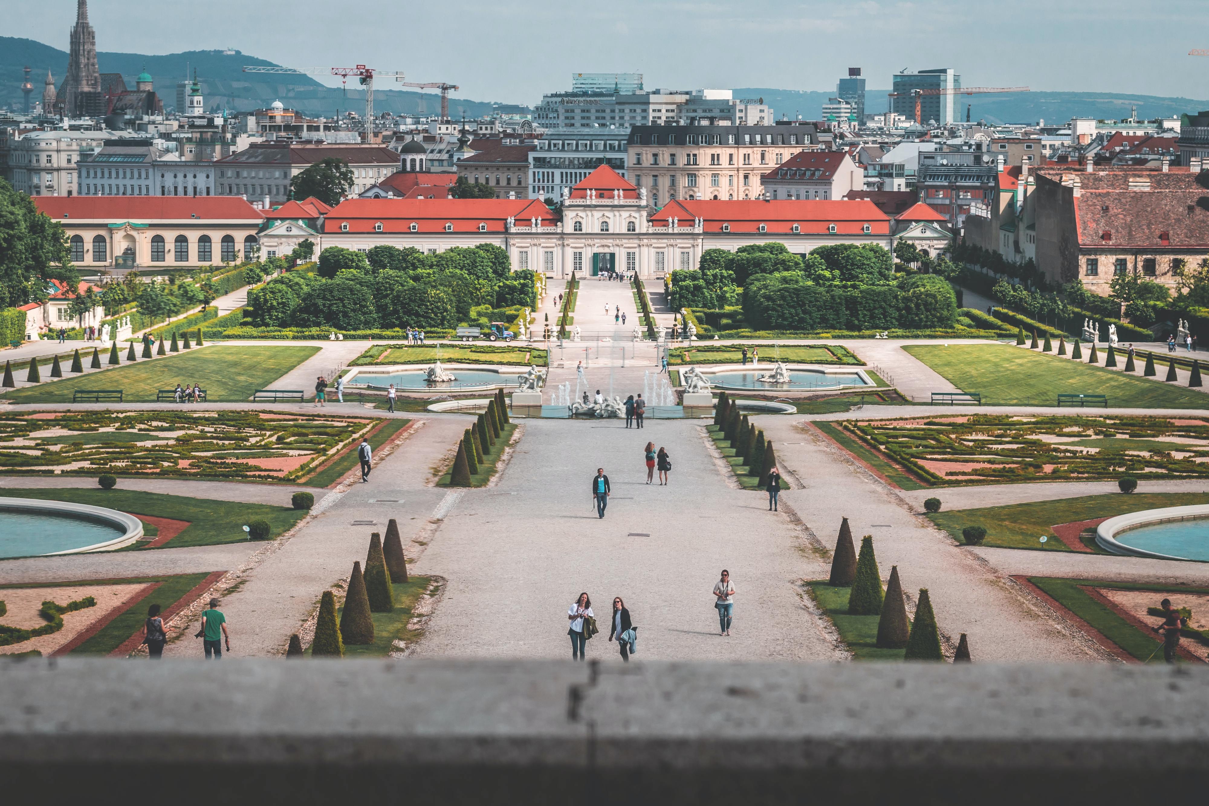 viena 