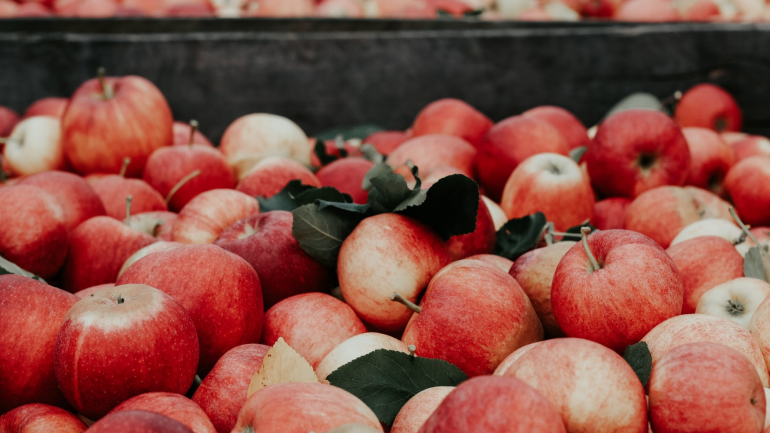 Dieta da maçã, leite, ananás. Porque é uma péssima ideia seguir estes planos alimentares