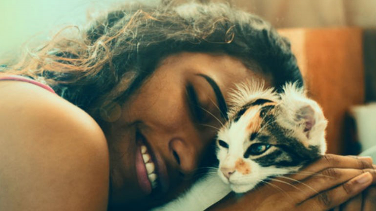 O estudo concluiu que os gatos mais felizes, mais saudáveis e mais calmos, eram aqueles cujos donos eram mentalmente mais equilibrados