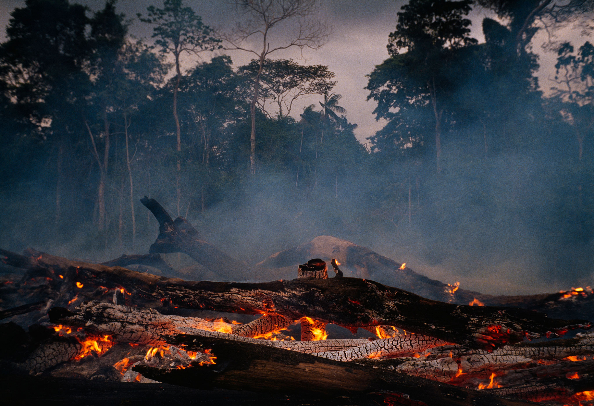 A Amazónia arde, São Paulo fica às escuras e a água da chuva é preta