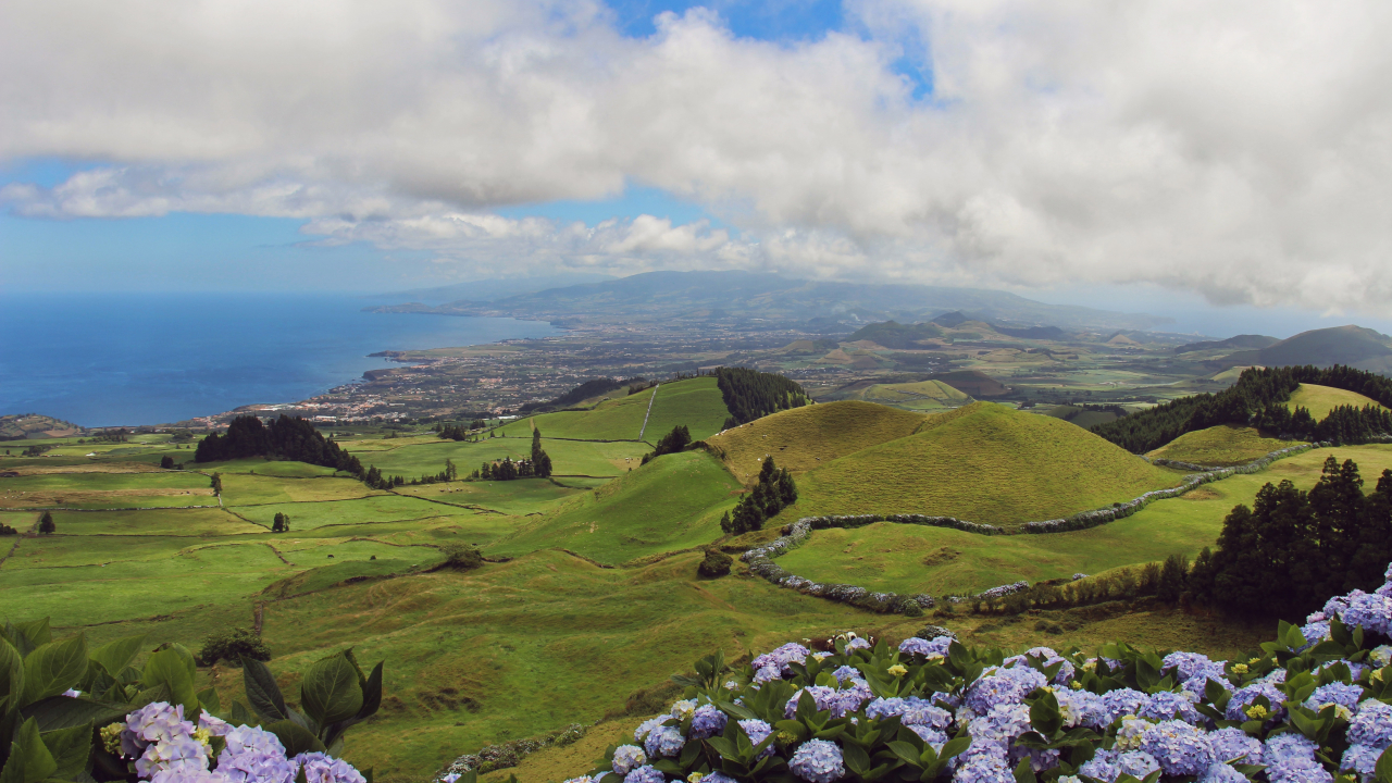 O Taste Azores está de regresso a Lisboa este fim de semana