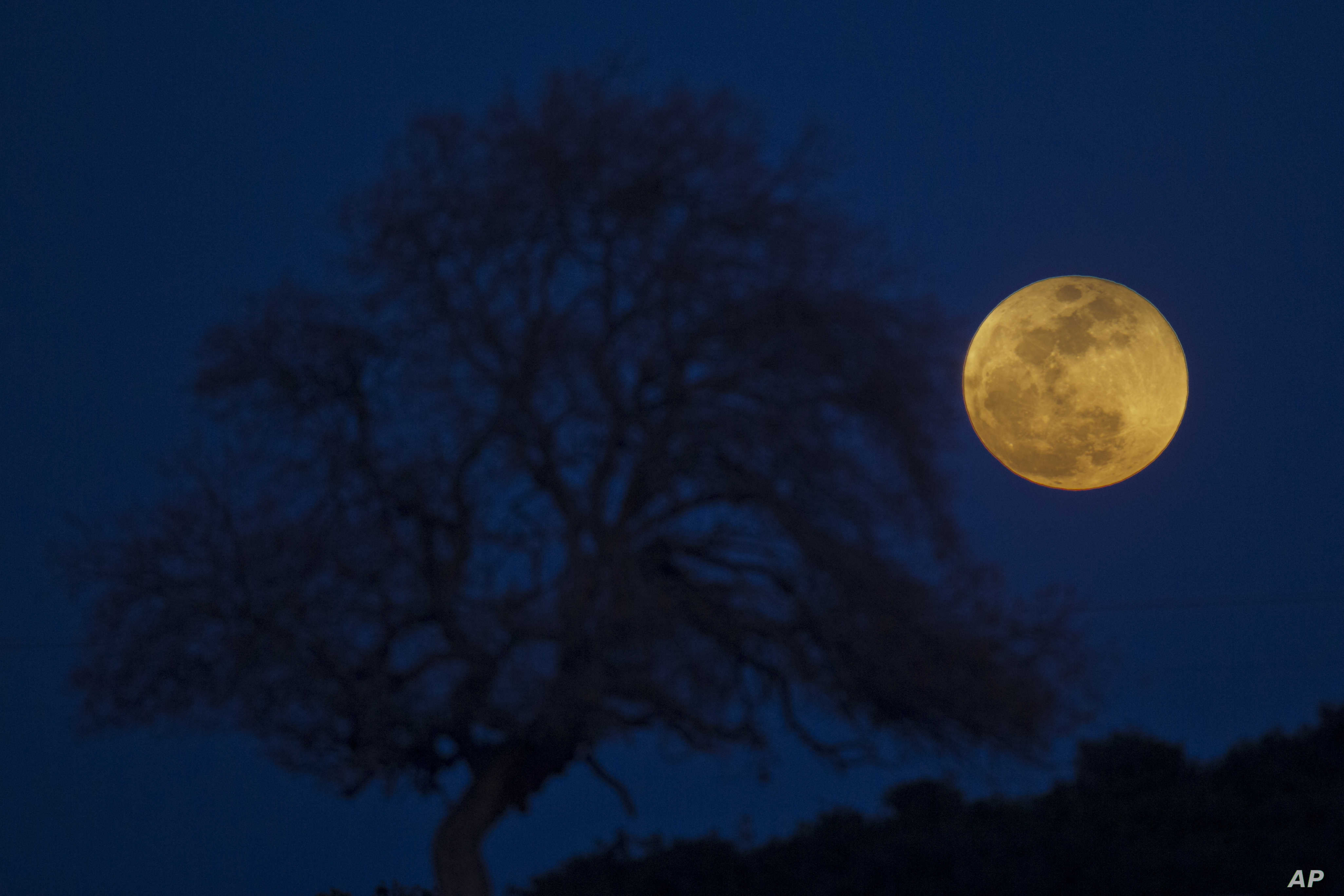 Já olhou para o céu? Há um eclipse lunar
