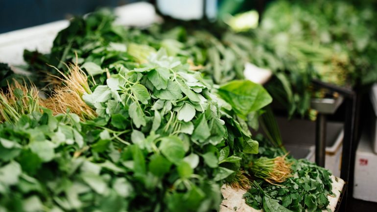 Ervas aromáticas. Como tirar partido das plantas que dão sabor à comida?