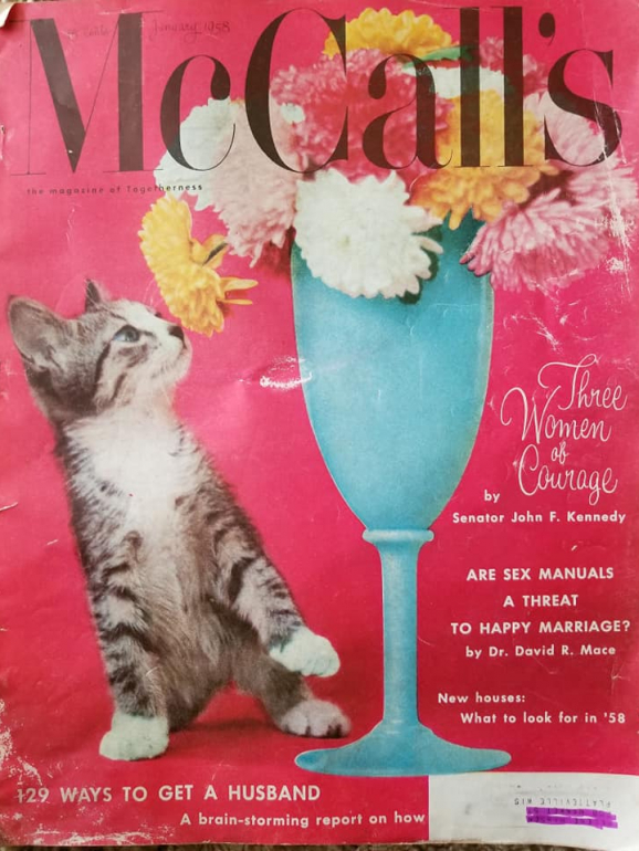 A capa da revista