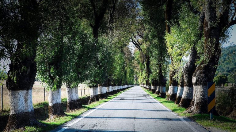 As 9 melhores estradas de Portugal para fazer uma road trip