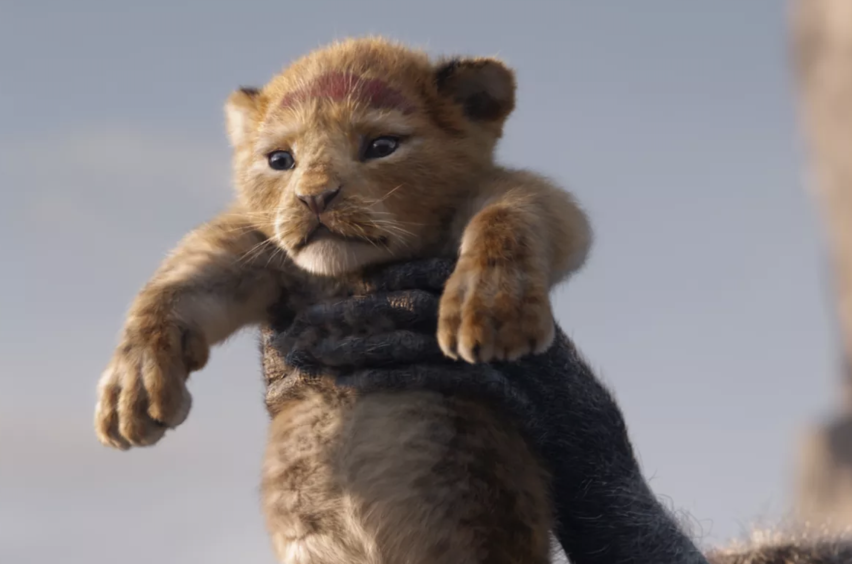 Disney anuncia novo filme de “Rei Leão” e 10 séries de “Star Wars”