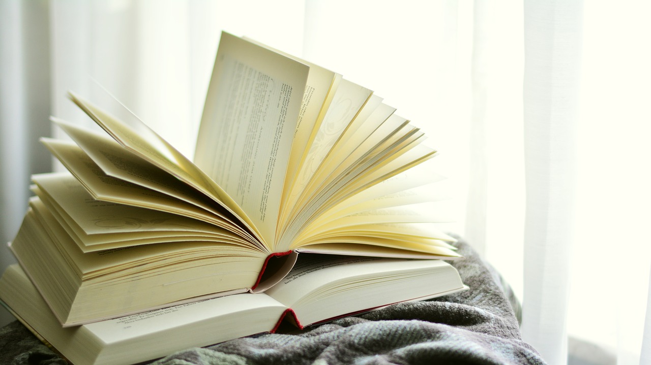 Livros para toda a gente. Conheça as novidades literárias para toda a família