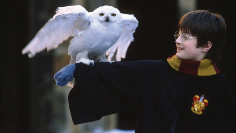 Os filmes são inspirados nos livros de sucesso de J. K. Rowling