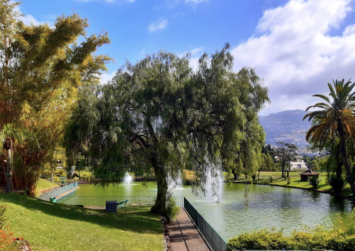 Parque de Santa Catarina no Funchal Parque de Santa Catarina no Funchal