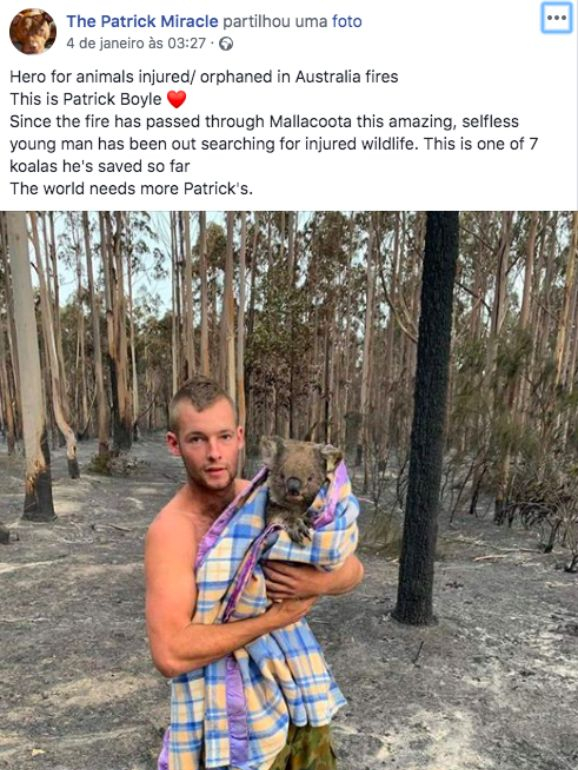 Fogos na Austrália. Seis histórias especiais que nascem da tragédia