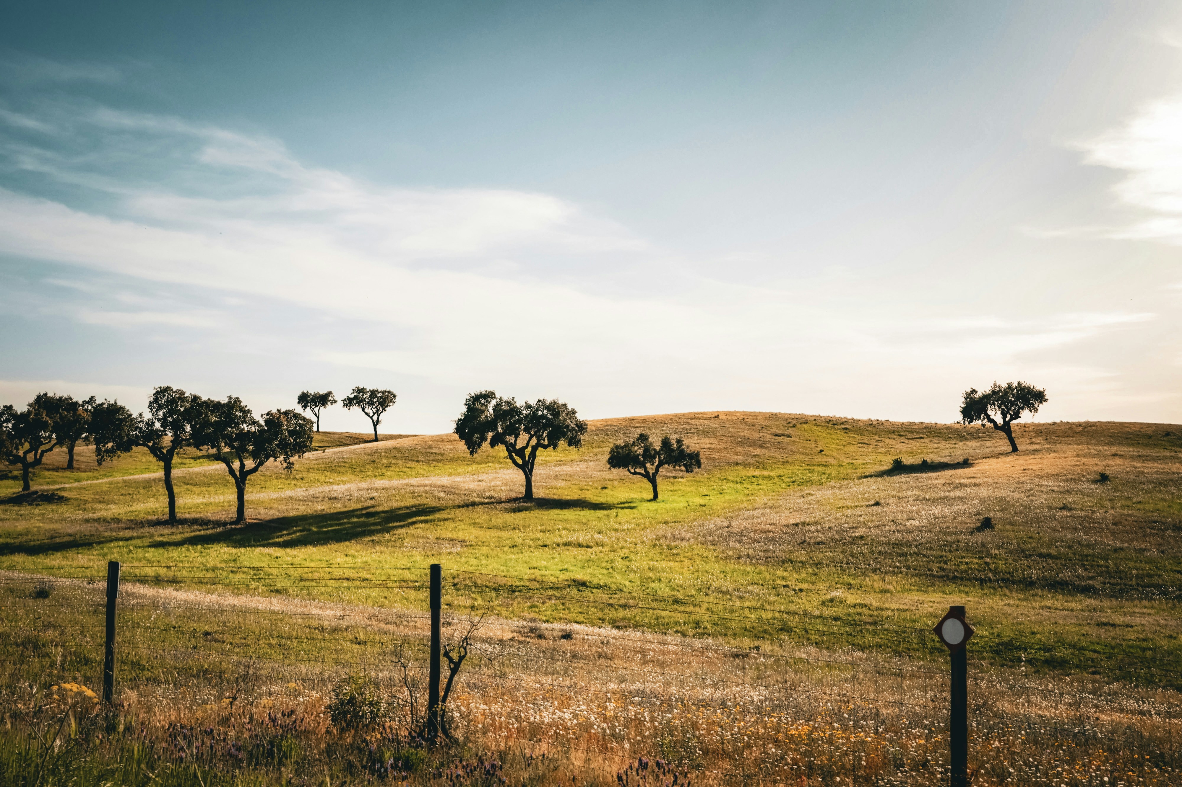 Alentejo