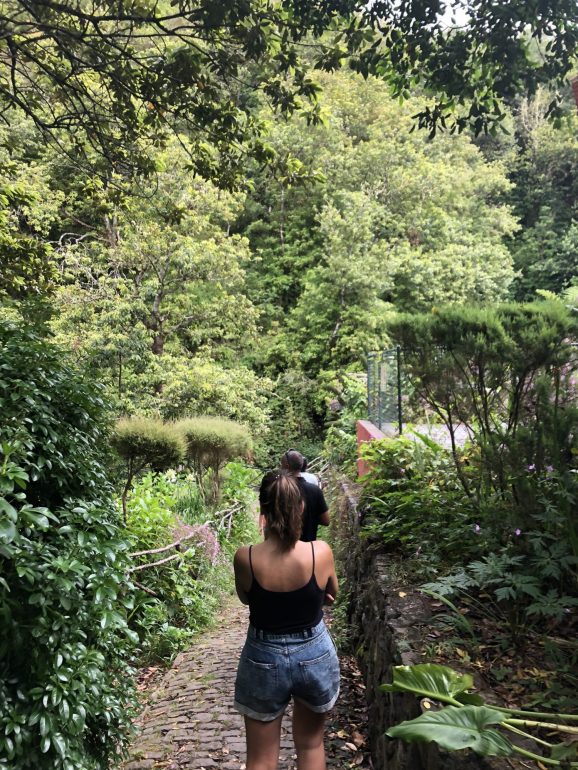 Nos caminhos do Ribeiro Frio