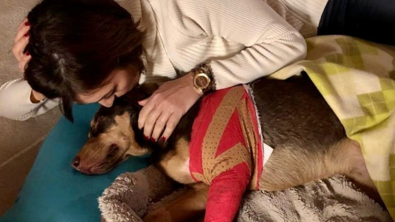 Fátima Lopes e o cão Brownie 