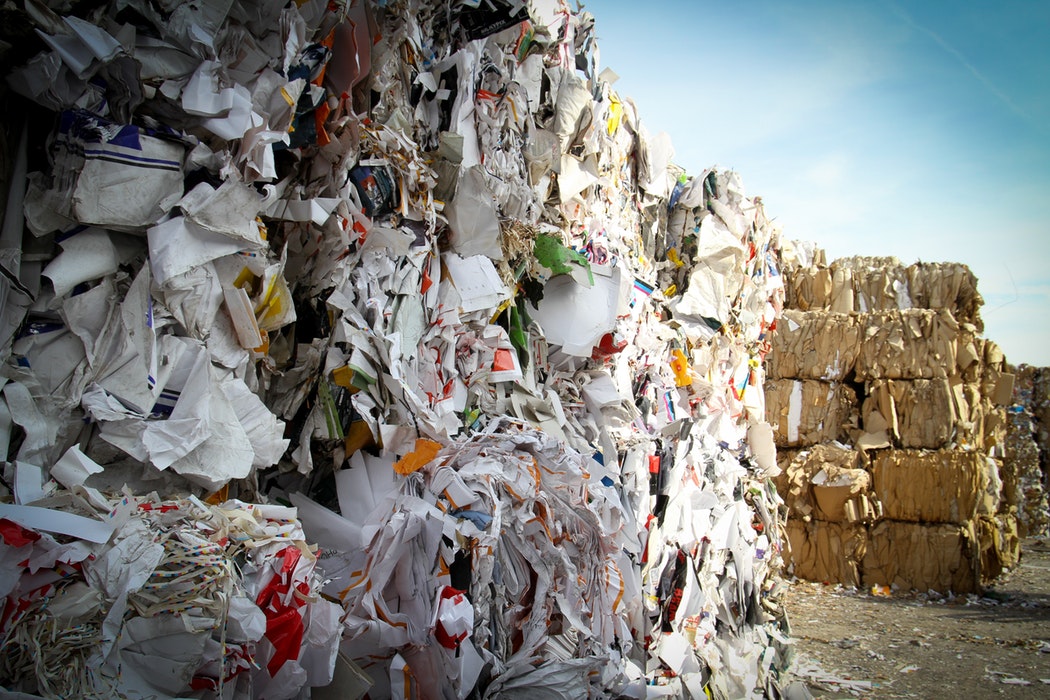 O peso de 12 elefantes. É isso que Portugal recicla todos os dias