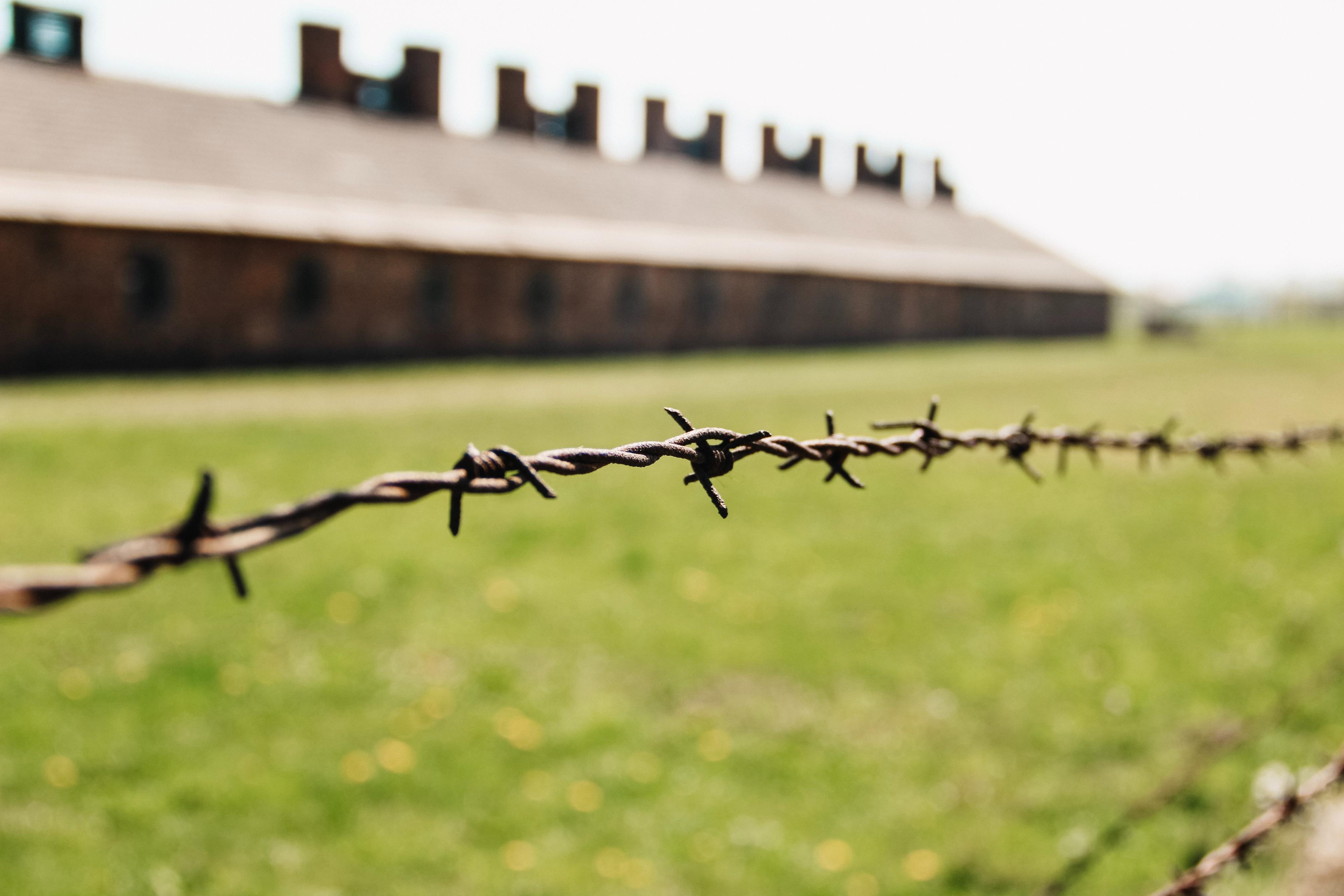 Porto. Museu do Holocausto já abriu. 3 razões para o visitar e não esquecer a História