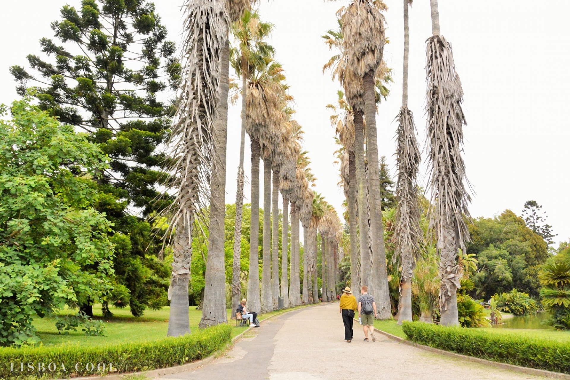 O Jardim Botânico Tropical reabre este fim de semana — com música e exposições