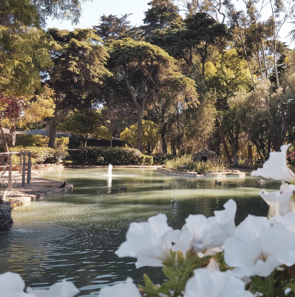 Parque Marechal Carmona em Cascais Parque Marechal Carmona em Cascais