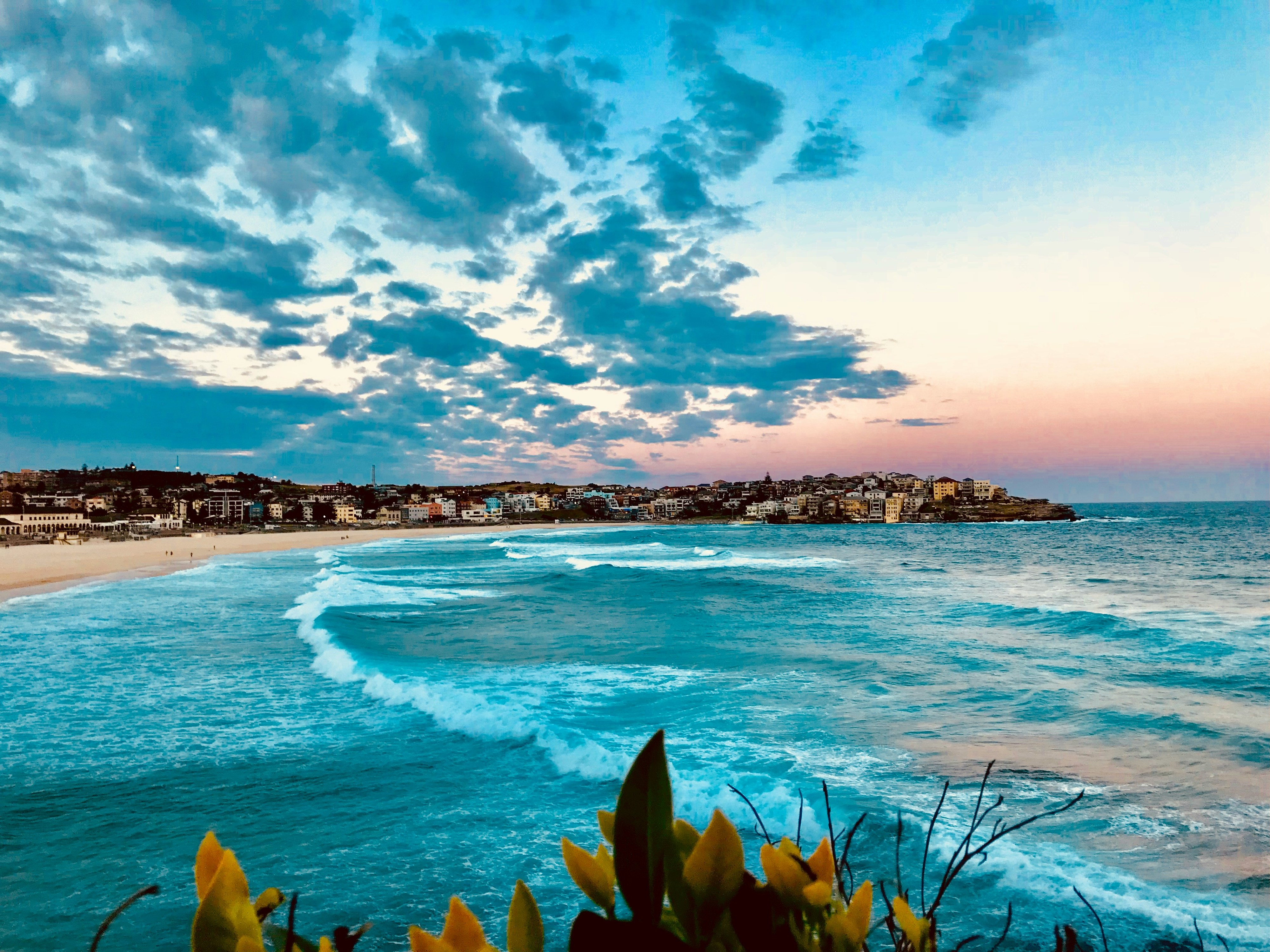Bondi (Austrália) Bondi (Austrália)