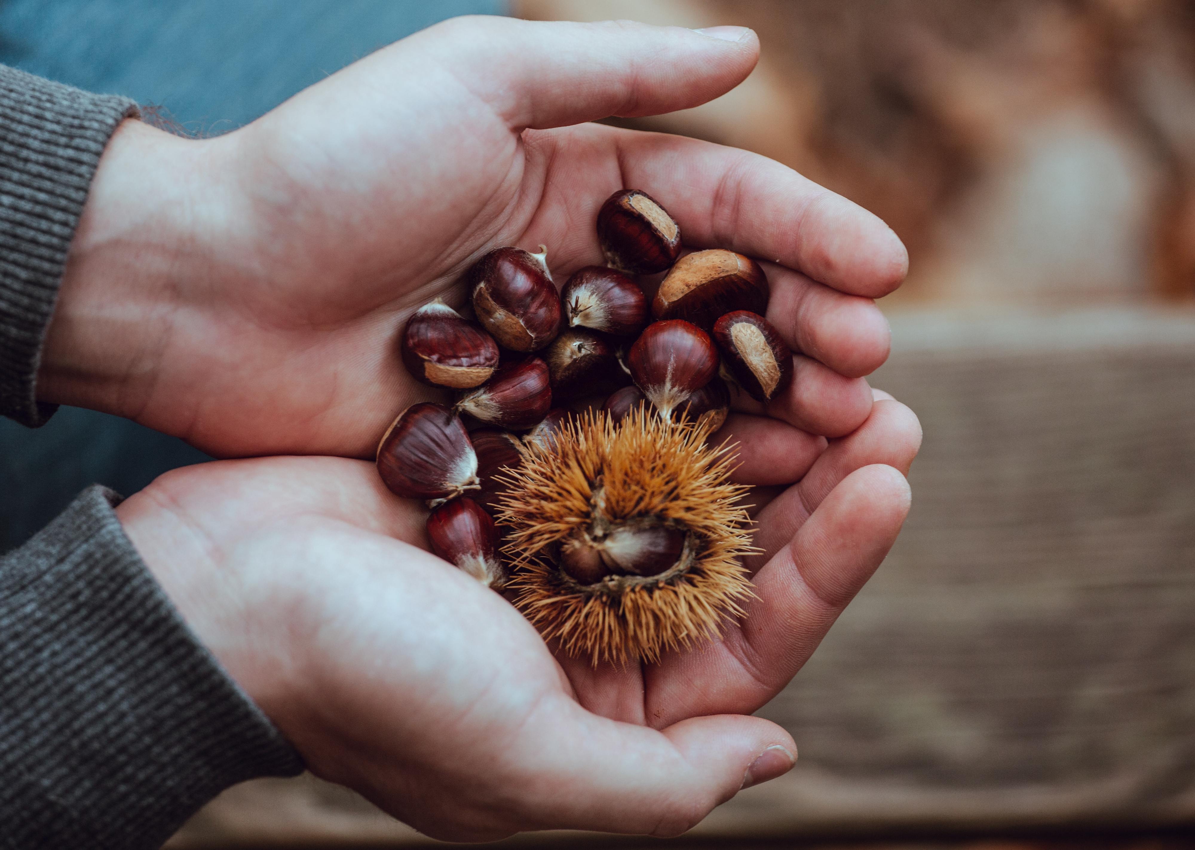 3 truques para comer castanhas sem pensar nas consequências (para o intestino)
