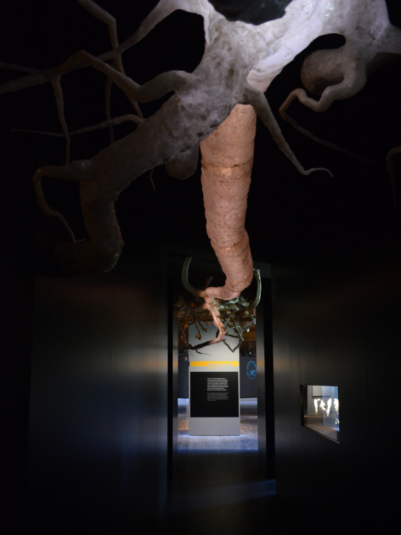 Um neurónio com 12 metros e outras instalações imperdíveis na nova exposição sobre o cérebro