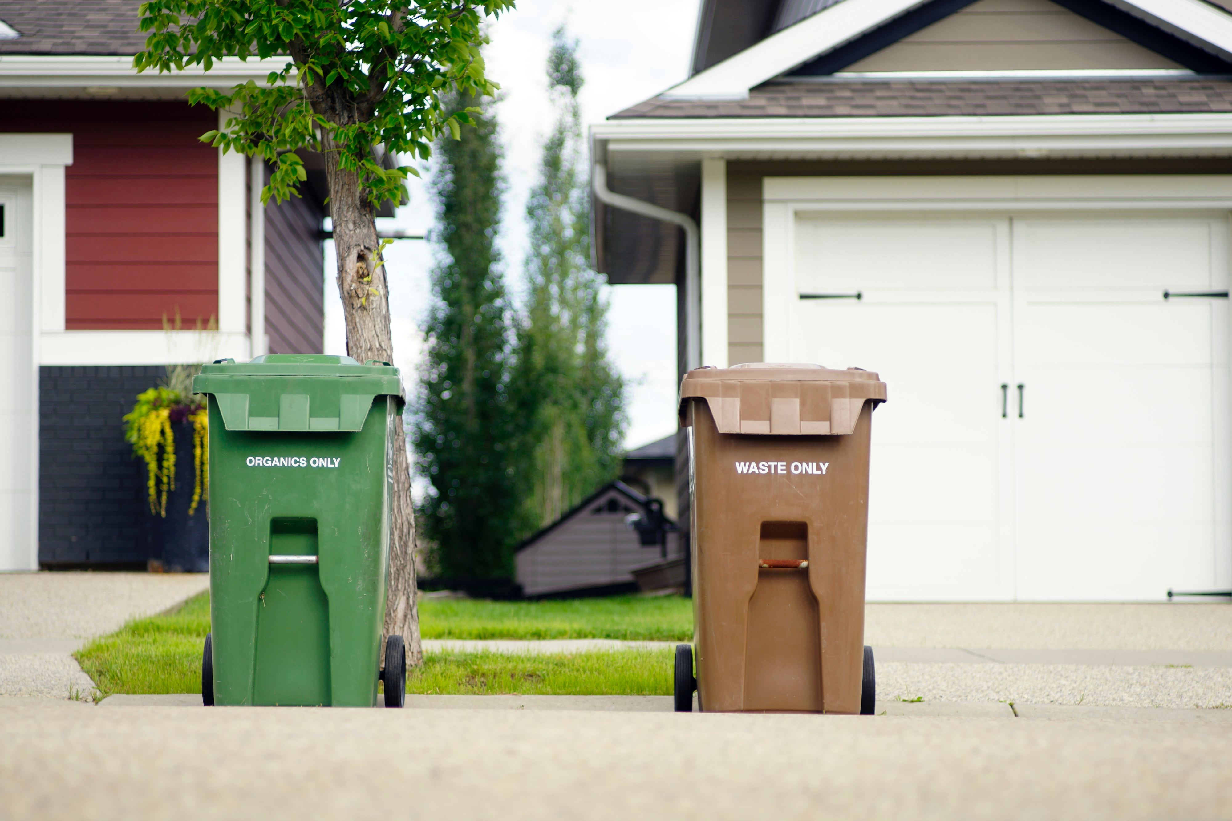 Reciclagem. Vem aí o contentor castanho e o Lumiar e Santa Clara são as primeiras freguesias a recebê-lo