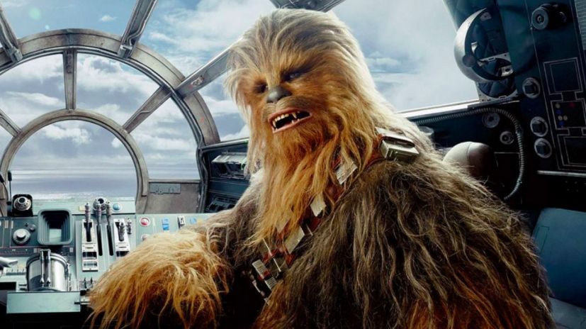 Sabia que Chewbacca foi inspirado no cão de George Lucas? 8 curiosidades