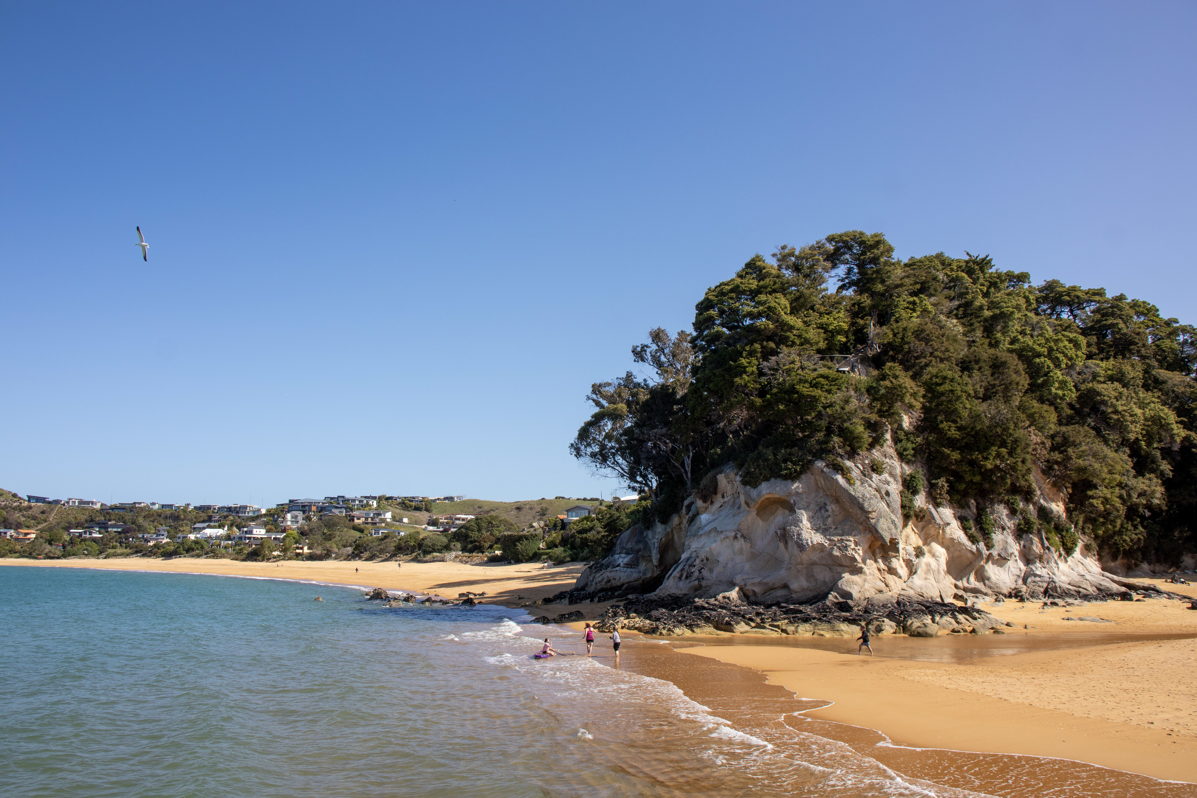 Parque Nacional Abel Tasman. Caiaque Marítimo