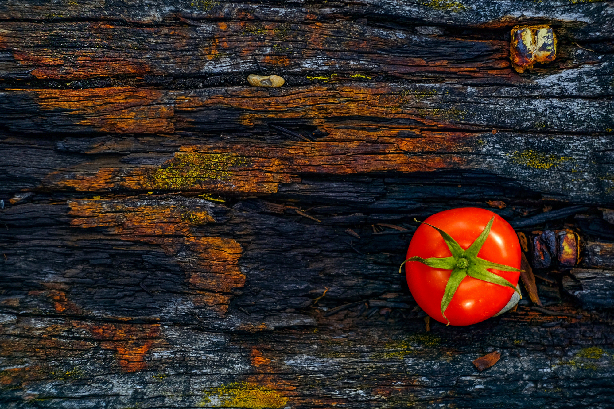 E se a ciência inventasse tomates picantes? Parece que estão a chegar
