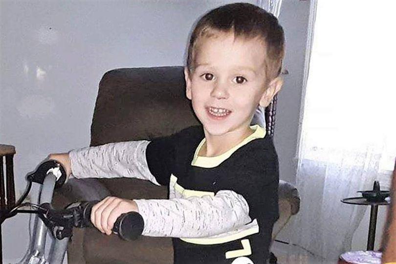 Menino desaparecido durante três dias diz ter sido ajudado por um urso