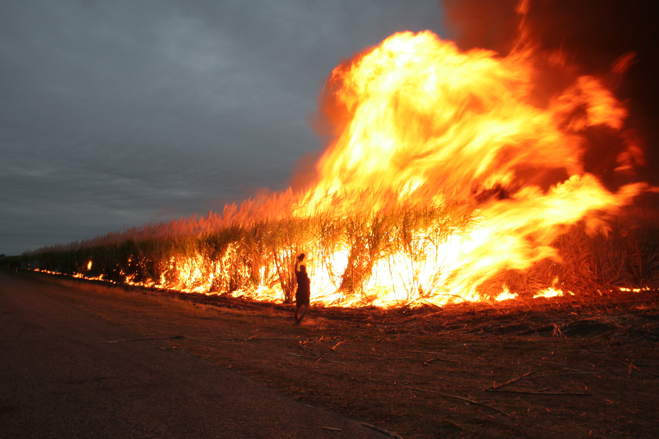 Mas porque é que a Austrália ainda arde?