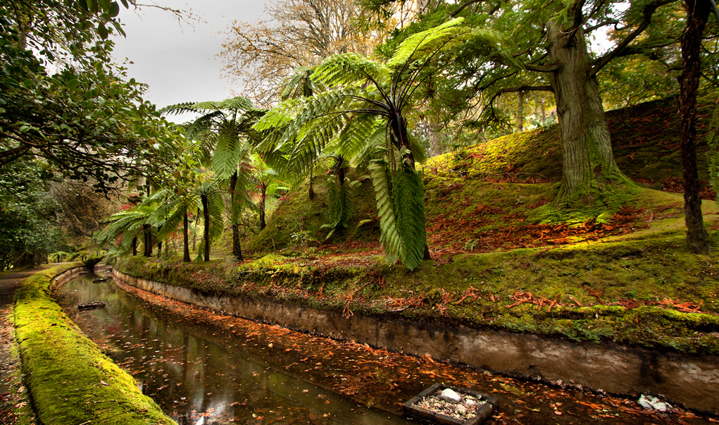 O jardim Terra Nostra nos Açores O jardim Terra Nostra nos Açores