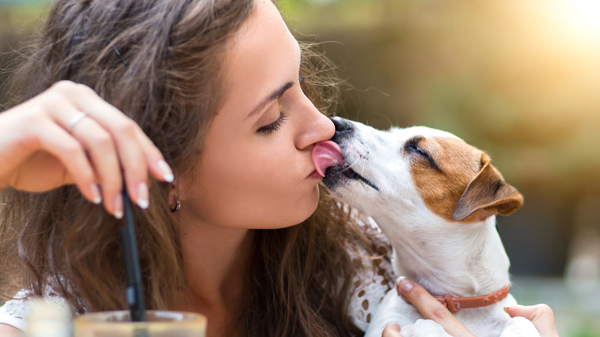 Por favor não dê beijinhos ao seu animal — é perigoso para todos