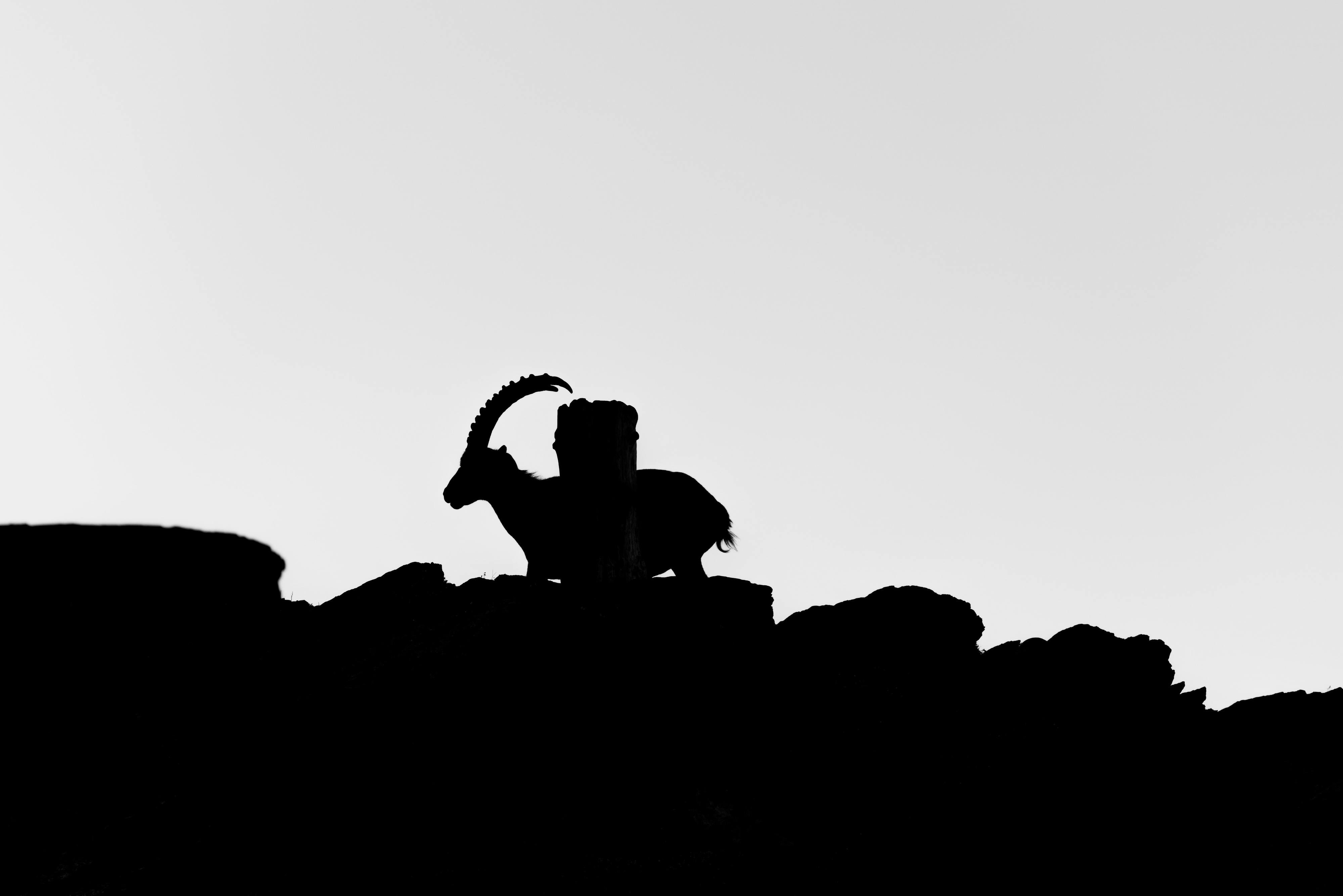 O inverno chegou e o signo de Capricórnio também. Entre carreira, esforço e perseverança, eis o que pode esperar