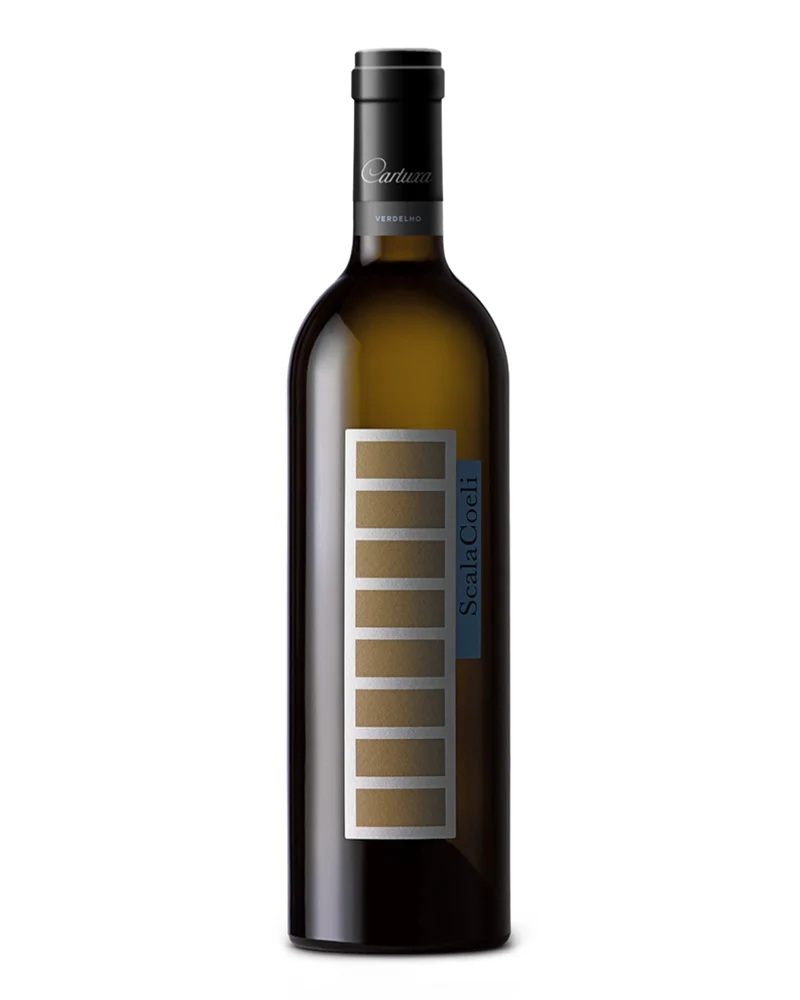 Scala Coeli 2009