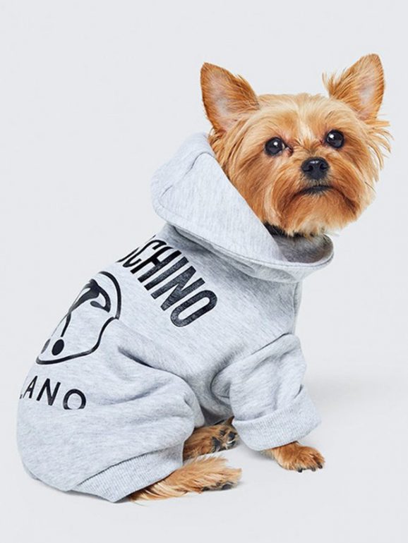 Além da roupa, há ainda uma coleira dourada com o nome da marca inscrito
